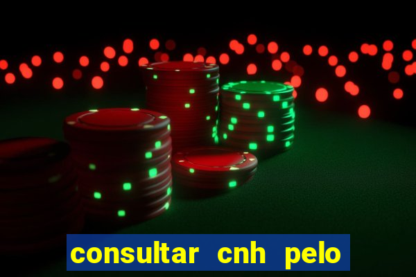 consultar cnh pelo cpf sp